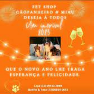 Petshop Cãopanheiro & Miau Porto Seguro BA
