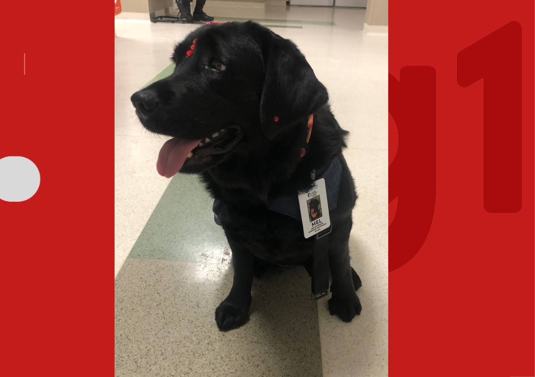 foto Not&iacute;cia Porto Seguro