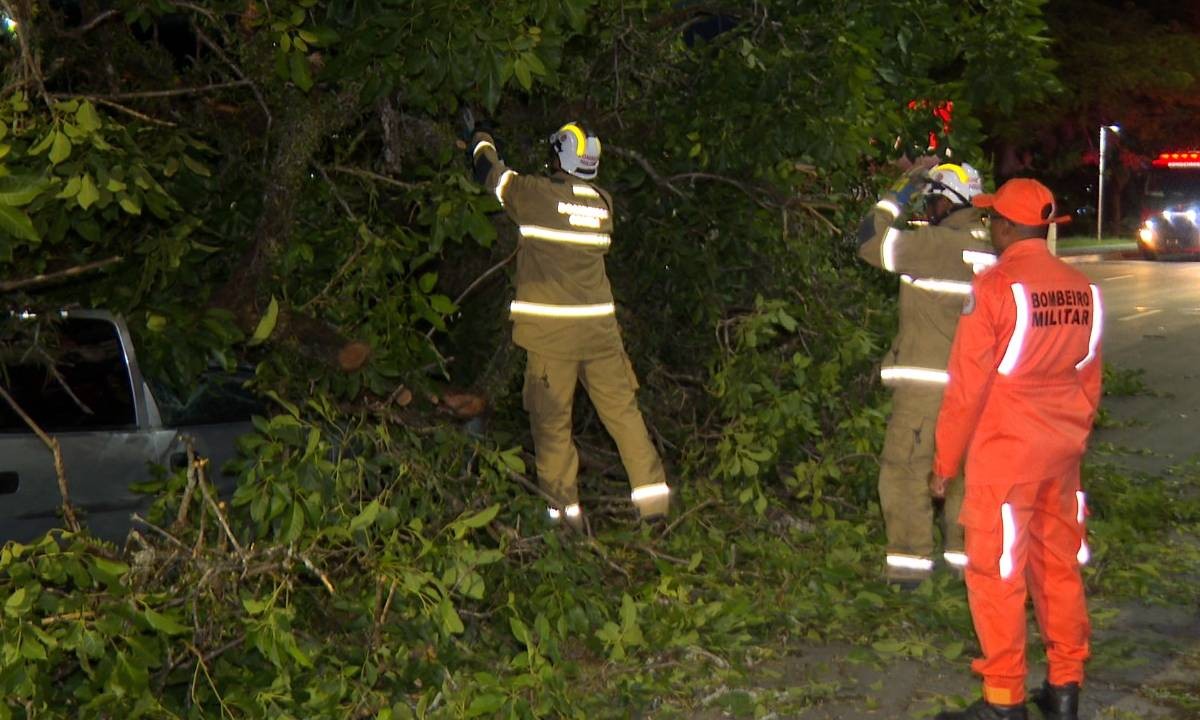 foto Not&iacute;cia Porto Seguro